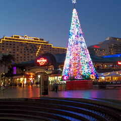 unbenannte Fotosession 20131217 1019